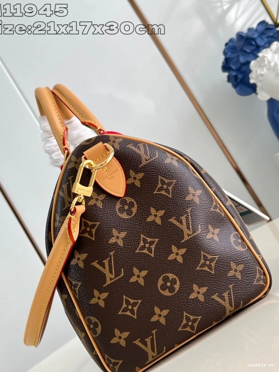 WIS Crafty Speedy Soft Vuitton 30 Louis 0317